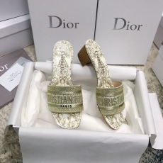 Christian Dior Slippers